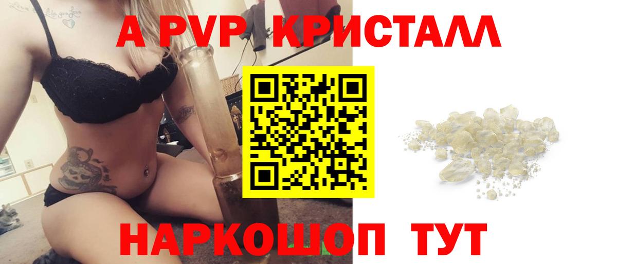 Альфа ПВП СК Курчалой