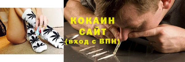 соль ск Алексин