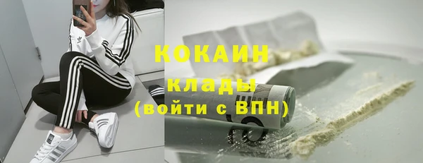соль ск Алексин