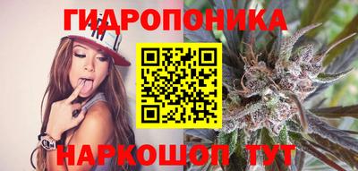 герыч Кингисепп