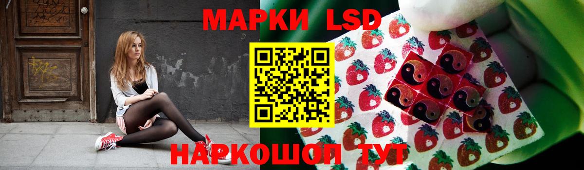 Лсд 25 экстази кислота  Вход с VPN  mega зеркало  Курчалой  Лсд 25 экстази кислота 