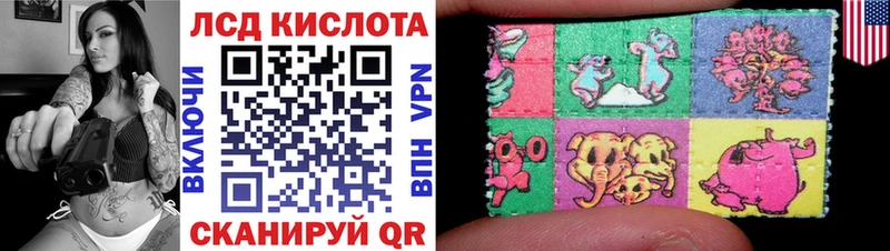 наркошоп  Курчалой  Марки NBOMe 1,8мг 