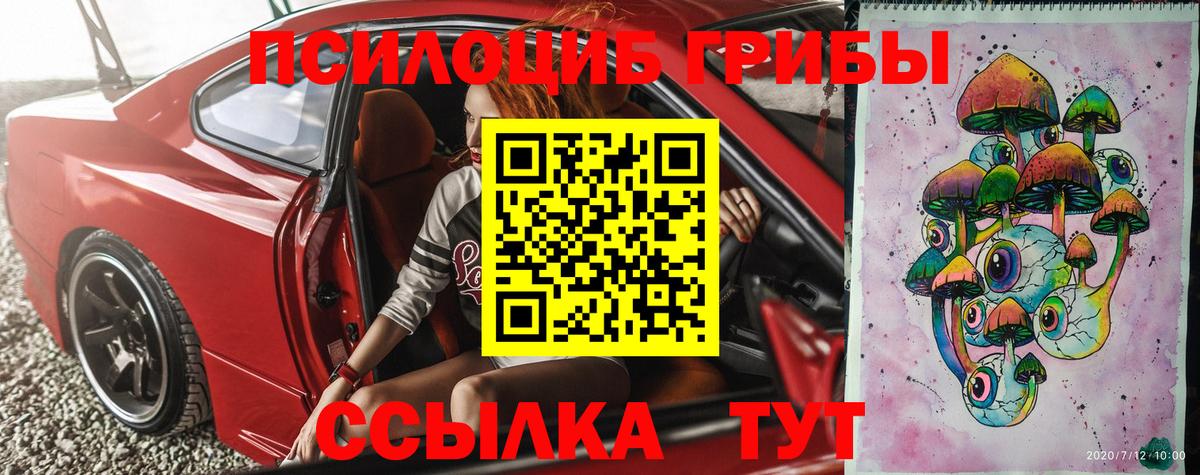 Курчалой  Галлюциногенные грибы GOLDEN TEACHER  Псилоцибиновые грибы Cubensis  Вход с VPN 