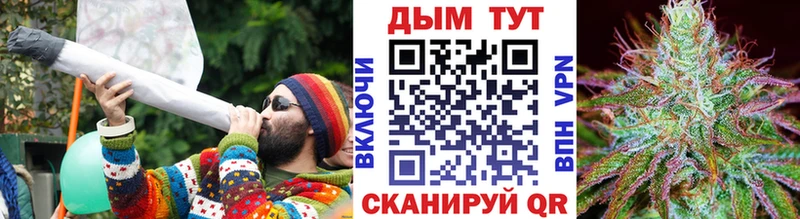 MEGA зеркало  Курчалой  Марихуана VHQ 